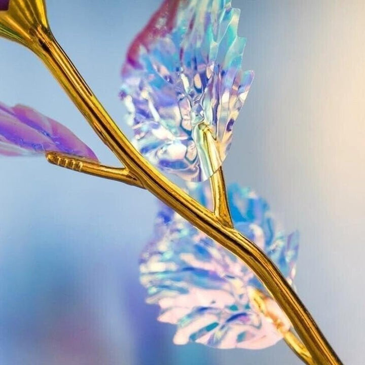 shimmering sleeping Valentine's Day | Kalsten