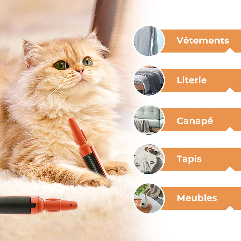 Adhesive Brush for Pets | Kalsten