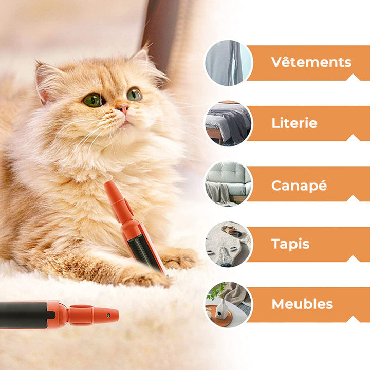 Adhesive Brush for Pets | Kalsten