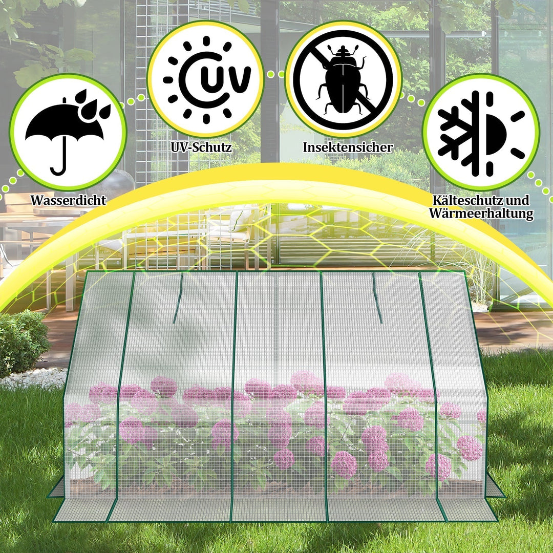 Greenhouse Tomato Greenhouse Hothouse | Kalsten