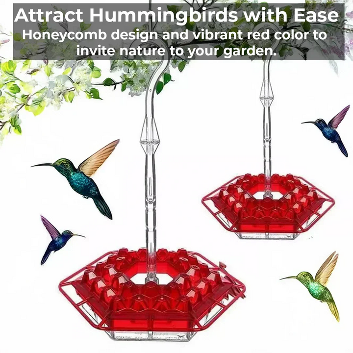 Kalsten | Ant-Proof Hummingbird Feeder with 30 Bee-Resistant Ports