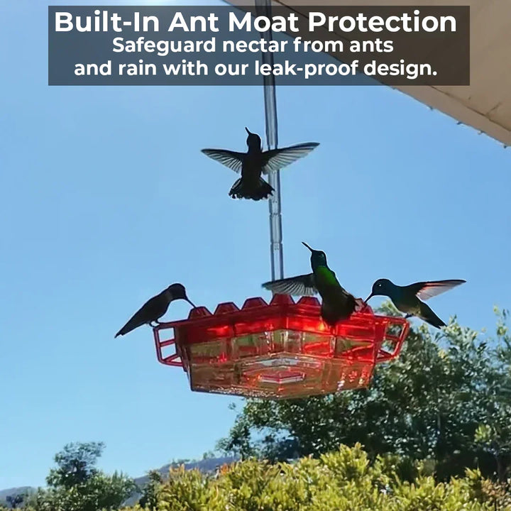 Kalsten | Ant-Proof Hummingbird Feeder with 30 Bee-Resistant Ports