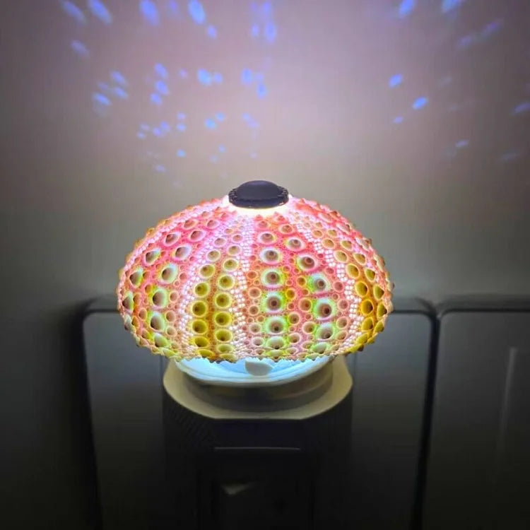 LumiCraft – Unique DIY table lamp with natural sea shell for a cozy décor | Kalsten