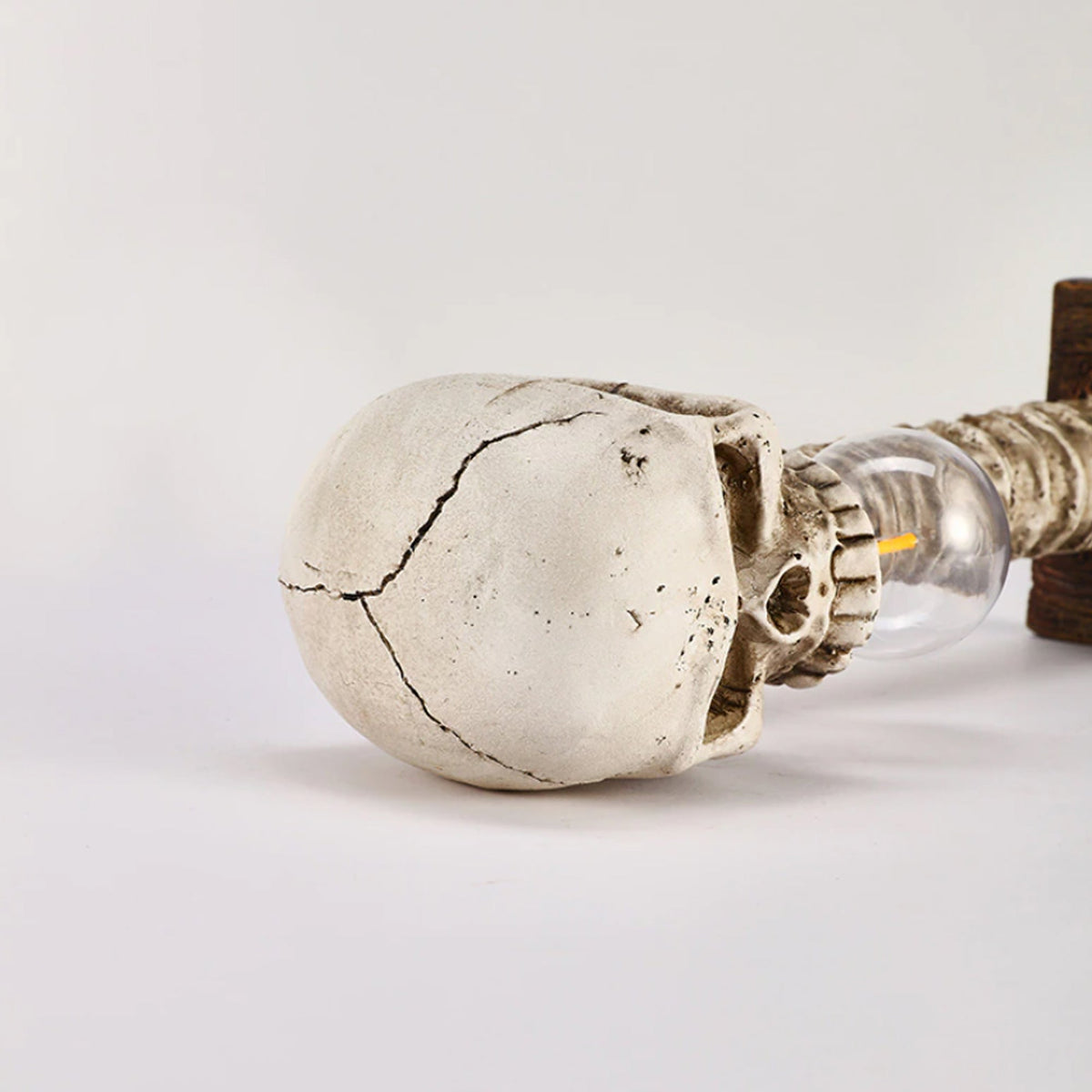 Skanto | Skeleton with Spine Lamp