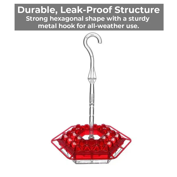 Kalsten | Ant-Proof Hummingbird Feeder with 30 Bee-Resistant Ports