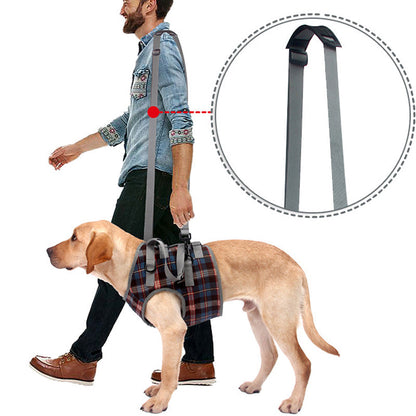 Orthopedic Rear Leg Harness