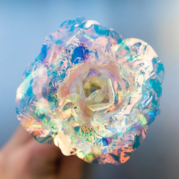 Kalsten | Shiny Sleeping Rose Valentine's Day