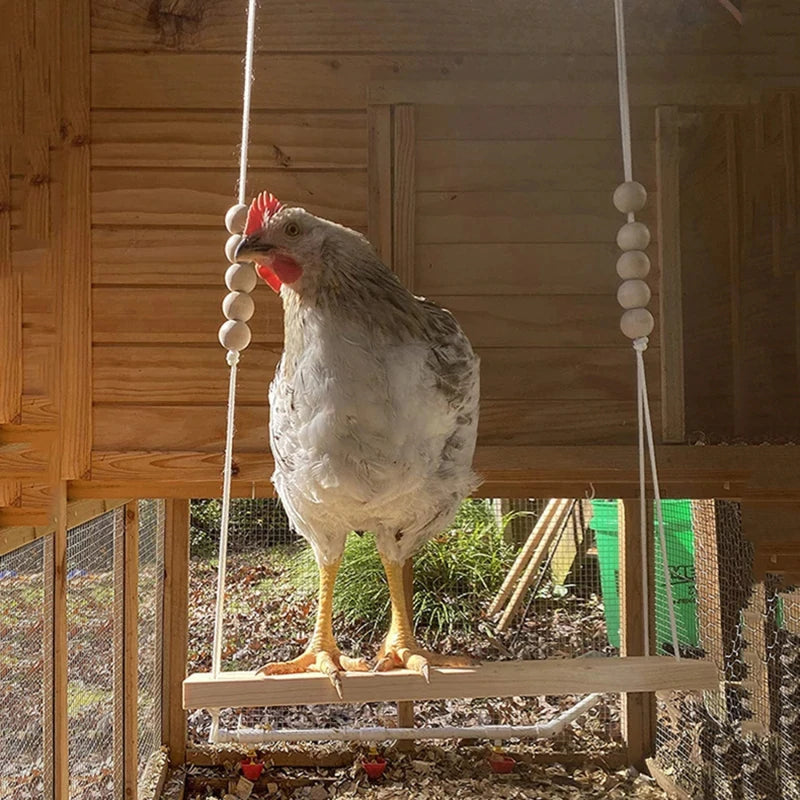 Kalsten | Chicken Swing Toy