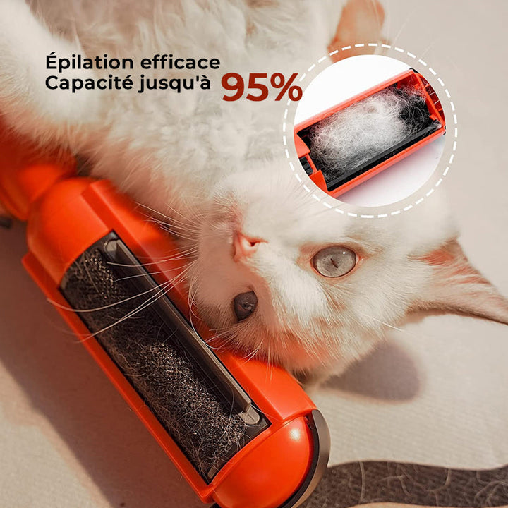 Adhesive Brush for Pets | Kalsten