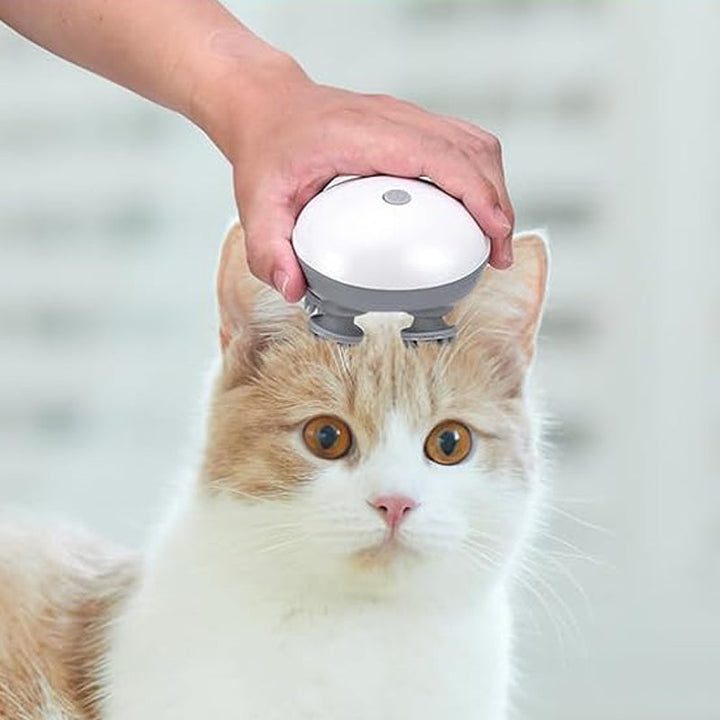 Mini Head Massager, available for pets and people | Kalsten