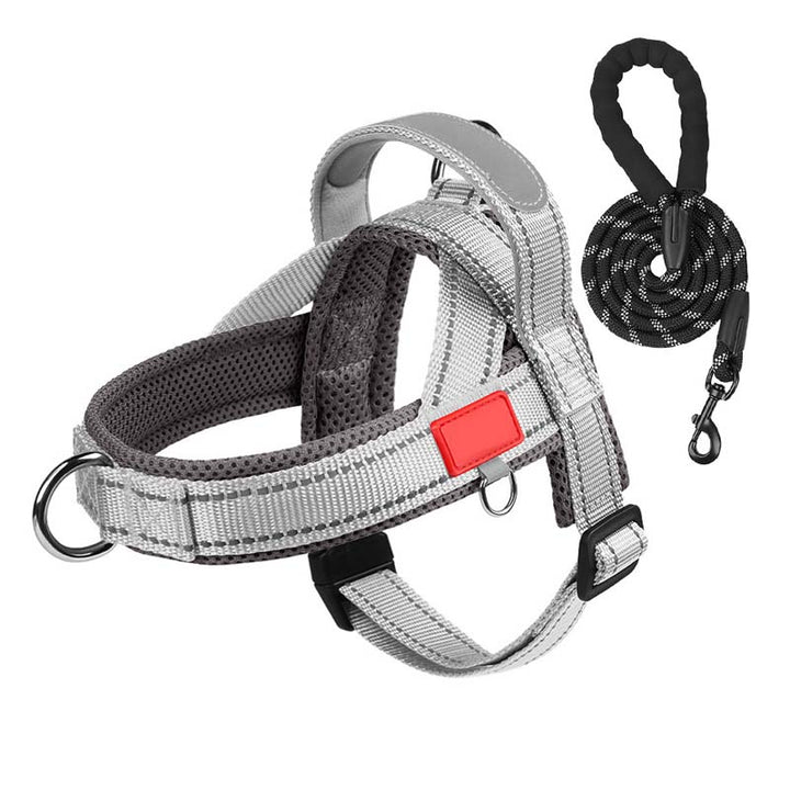 PawEase Comfort Harness — Relaxed Dressing and Unlimited Freedom for Your Dog | Kalsten