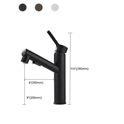 Kitchen Faucet with Swivel Spout, Single Handle Faucet with Pull-Down Sprayer