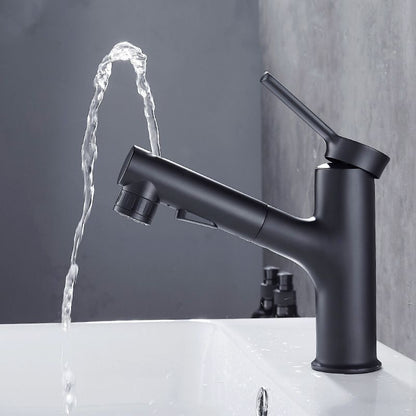 Modern sink faucet with pull-out spout and lever handle