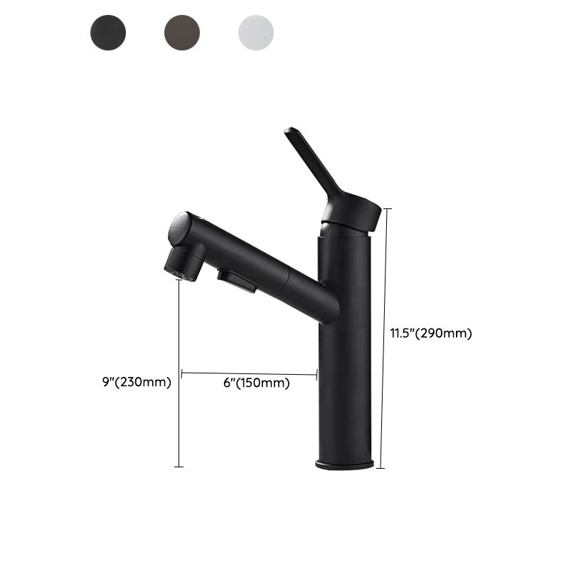 Kitchen Faucet with Swivel Spout, Single Handle Faucet with Pull-Down Sprayer