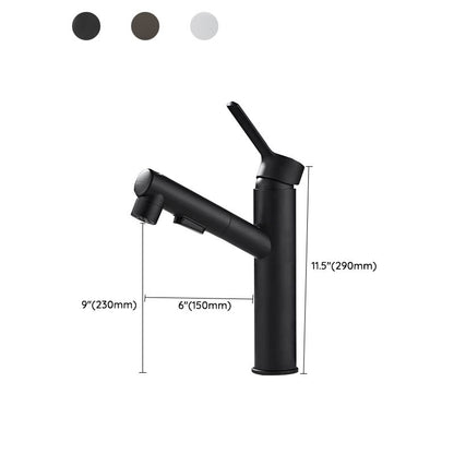 Kitchen Faucet with Swivel Spout, Single Handle Faucet with Pull-Down Sprayer