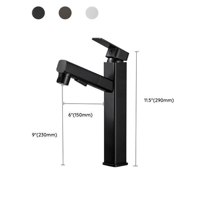 Kitchen Faucet with Swivel Spout, Single Handle Faucet with Pull-Down Sprayer