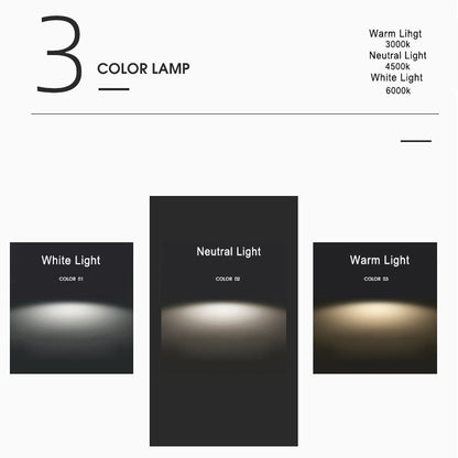 Frendorf | LunaShield LED Outdoor Ceiling Light | Weatherproof Design IP65 Rated