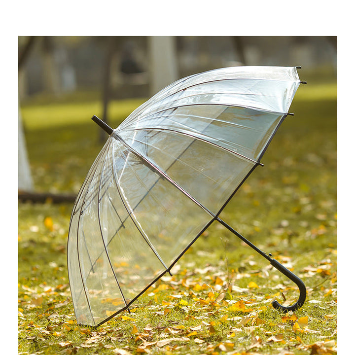 Ladies Transparent Umbrella with Elegant Design Kalsten