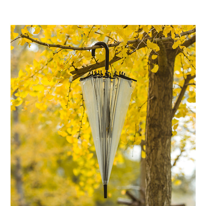 Women transparent umbrella with elegant design Kalsten