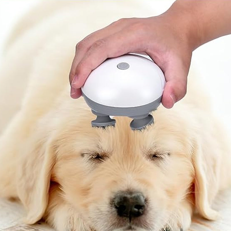 Mini Head Massager, available for pets and people | Kalsten