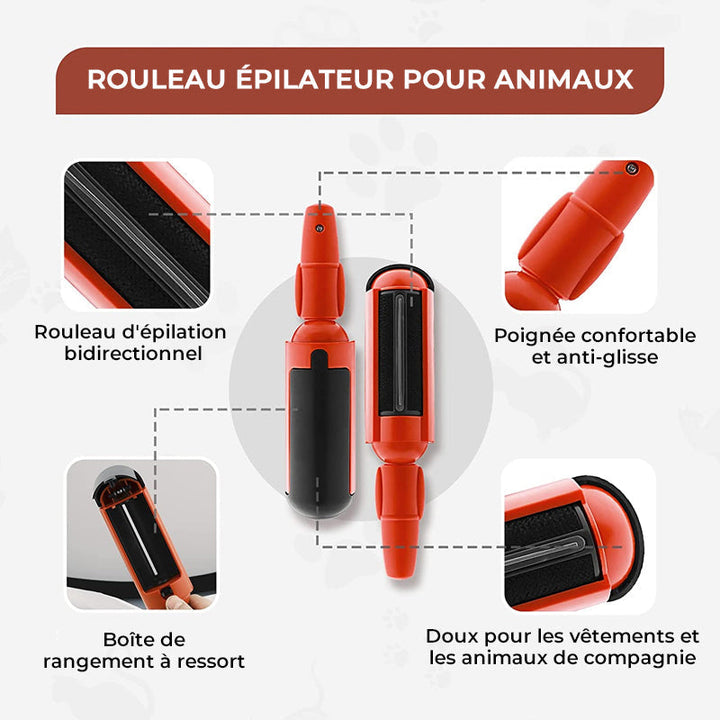 Adhesive Brush for Pets | Kalsten