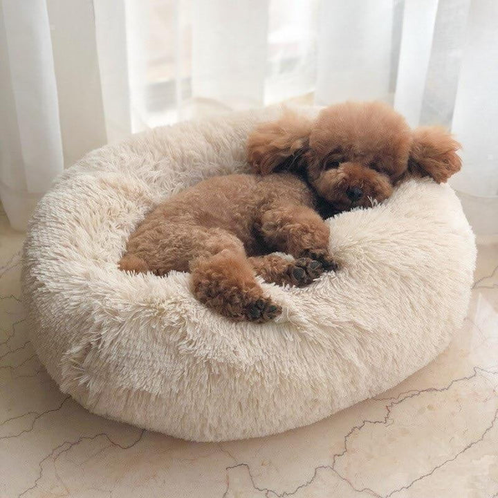 Orthopedic Plush Donut Dog Bed Kalsten