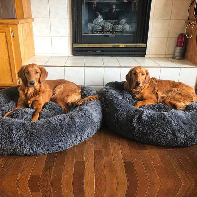 Orthopedic Plush Donut Dog Bed Kalsten
