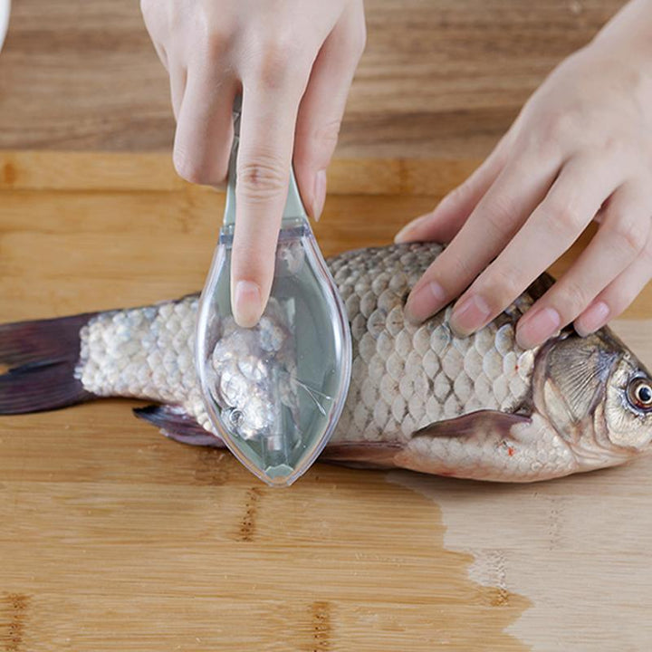 Fish skin scraping scale peeler | Kalsten