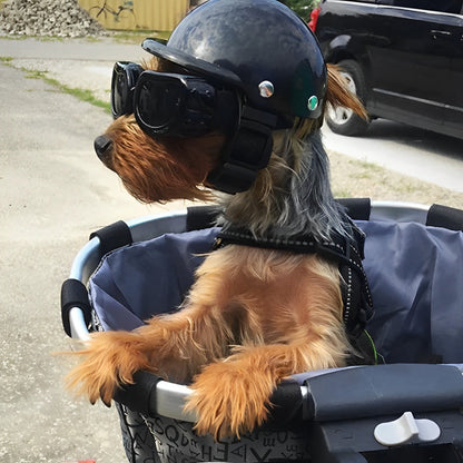 Skanto | Motorcycle Helmet and Goggles for Dogs – Trendy and Safe