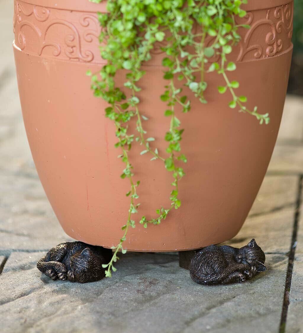 Kalsten | Potty Feet Plant Pot Feet