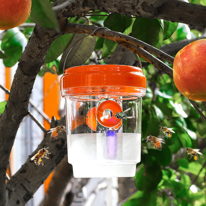 Solar powered wasp trap with LED lure | Kalsten