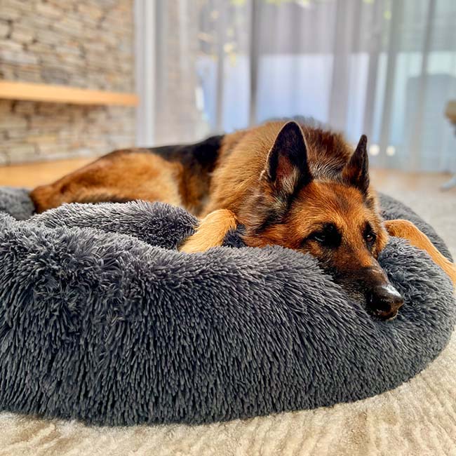 Orthopedic Plush Donut Dog Bed Kalsten