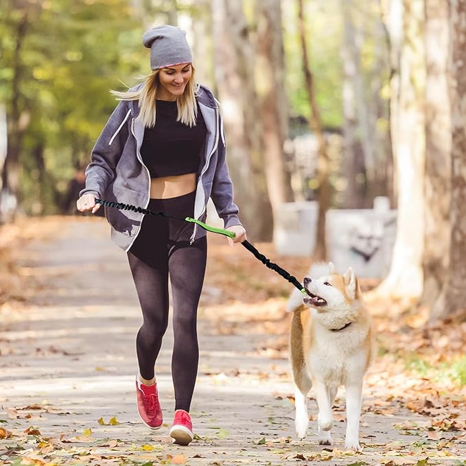 Kalsten | PawsFree Pro – Enjoy stress-free walks with your dog