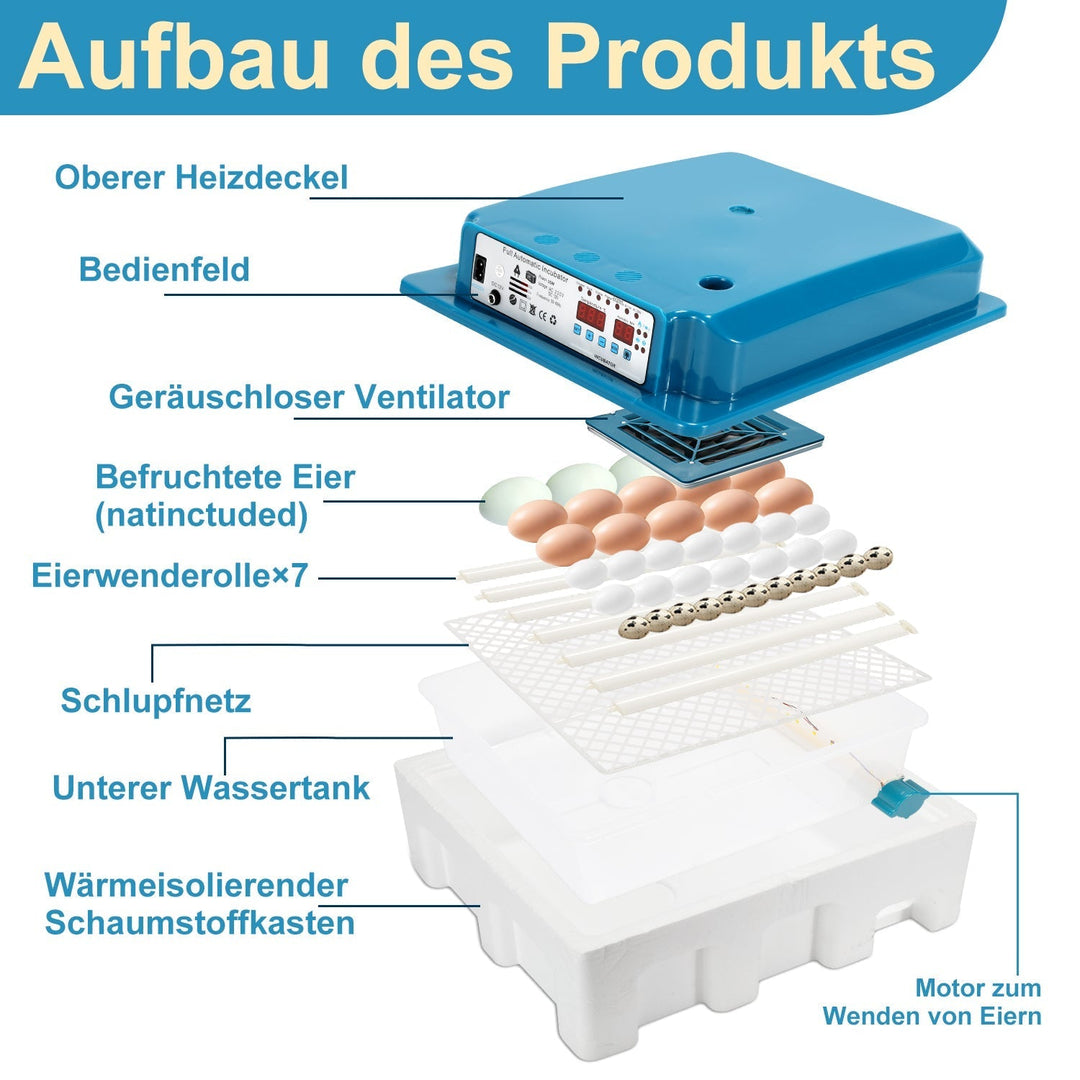 Brutautomat Fully Automatic Incubator for Chickens 36 Eggs | Kalsten