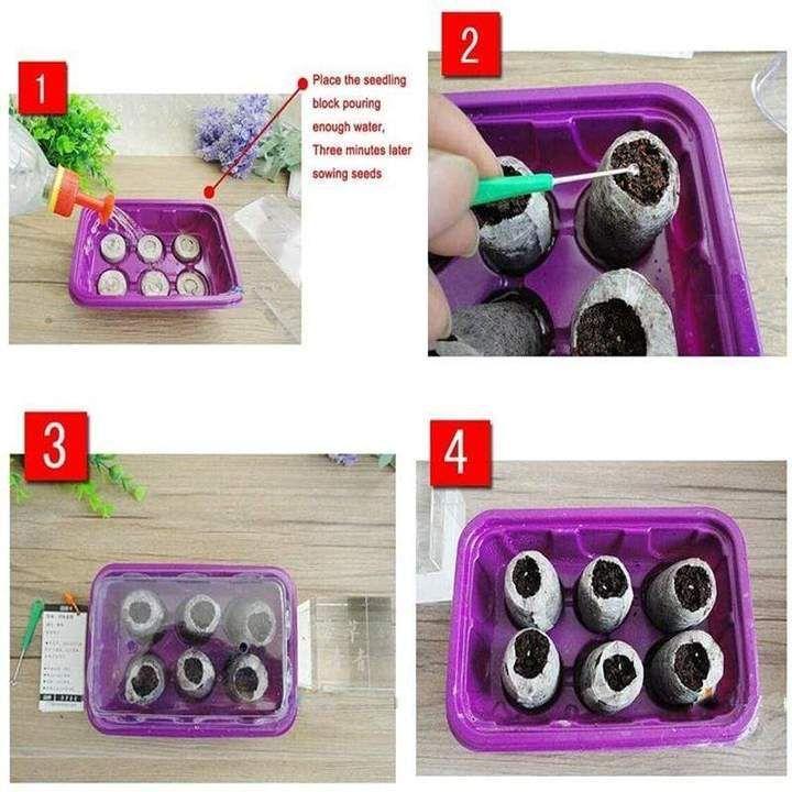 Kindergarten Nutrition Learning Blocks
