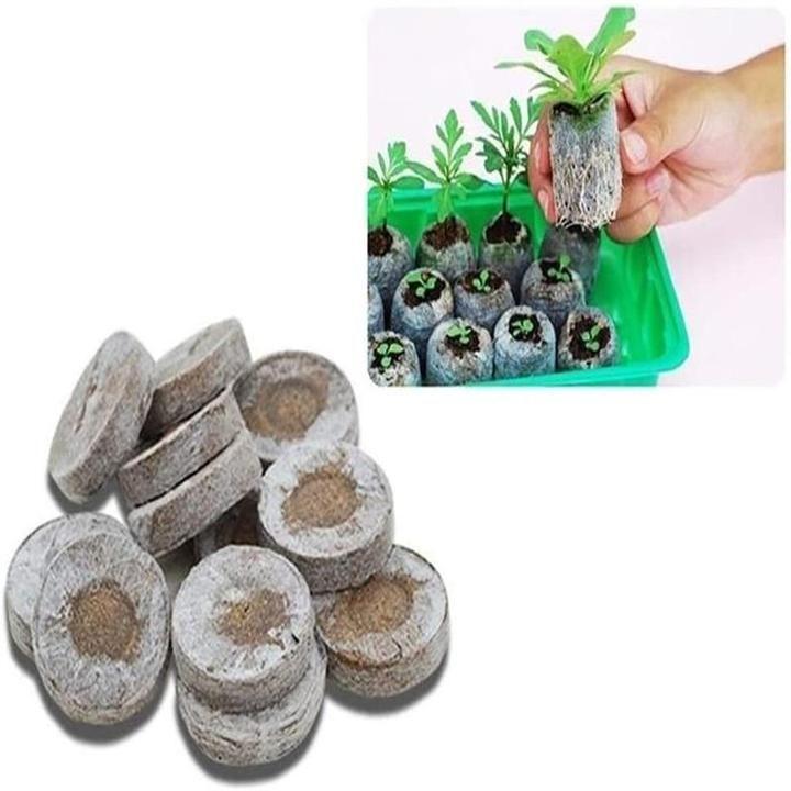 Kindergarten Nutrition Learning Blocks