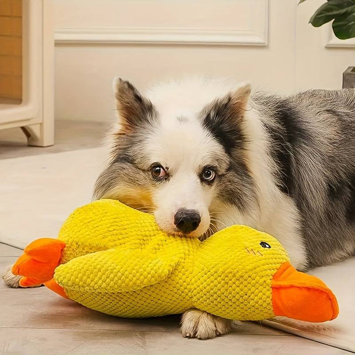 Kalsten | Calming duck for dogs