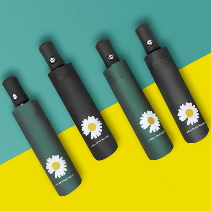 Women compact umbrella Kalsten
