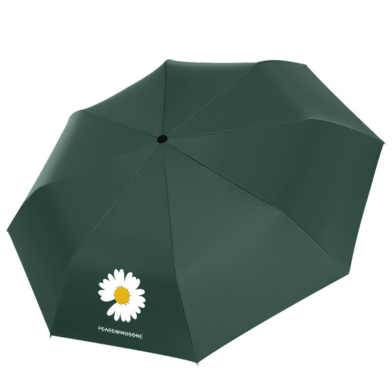 Ladies Automatic Umbrella Kalsten