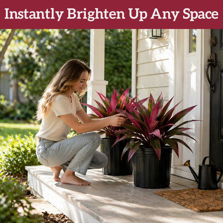 VerdoGlow — Vibrant freshness without effort that will transform your home forever | Kalsten
