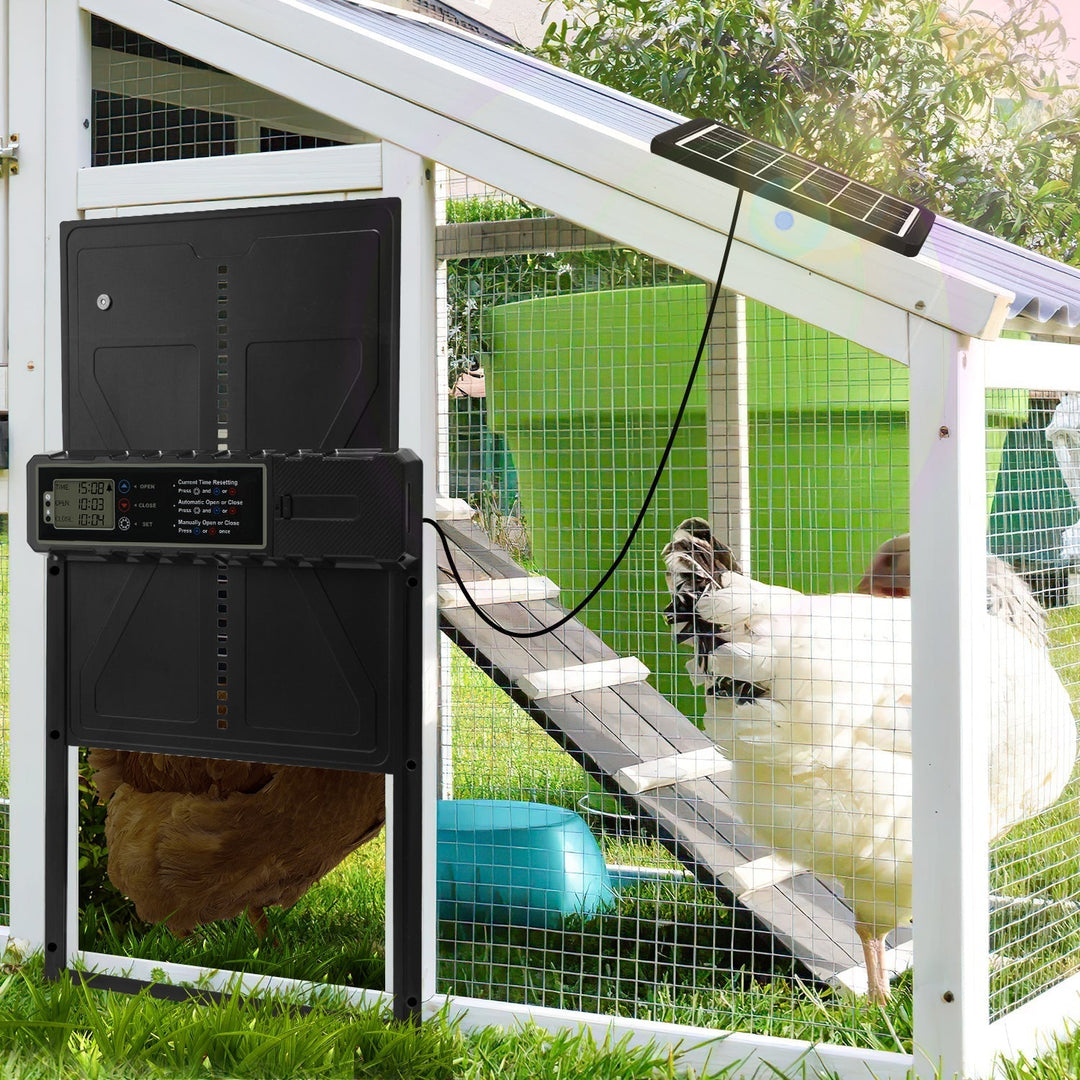 Electric Chicken Coop Door Solar with LED Display and Remote Control | Kalsten