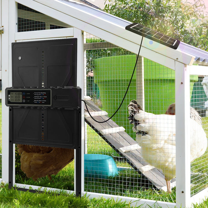 Electric Chicken Coop Door Solar with LED Display and Remote Control | Kalsten