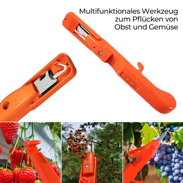 Efficient Pepper Picking Tools | Kalsten