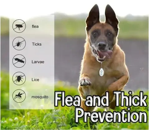 Kalsten | Ultrasound Tick PRedection – Chemical-Free Defense