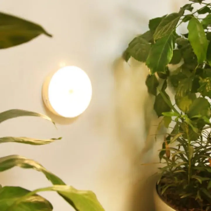 BowLift | Rechargeable Motion Sensor LED Night Light