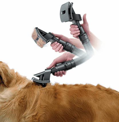 Skanto Skanto | GroomVac Pet Brush/Vacuum