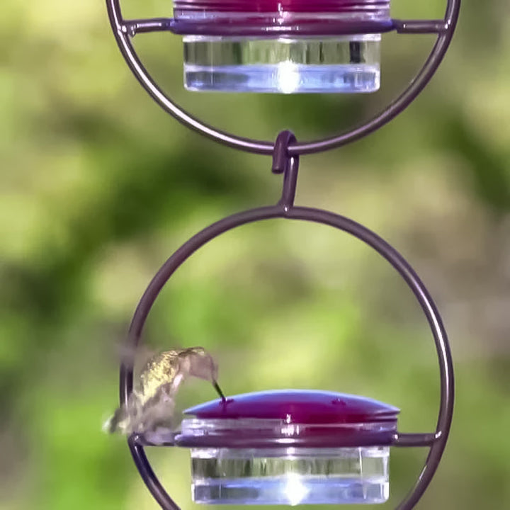 Kalsten | Simple Hummingbird Water Dispenser Made of Metal