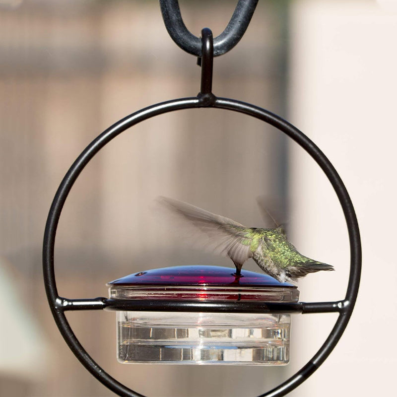 Kalsten | Simple Hummingbird Water Dispenser Made of Metal