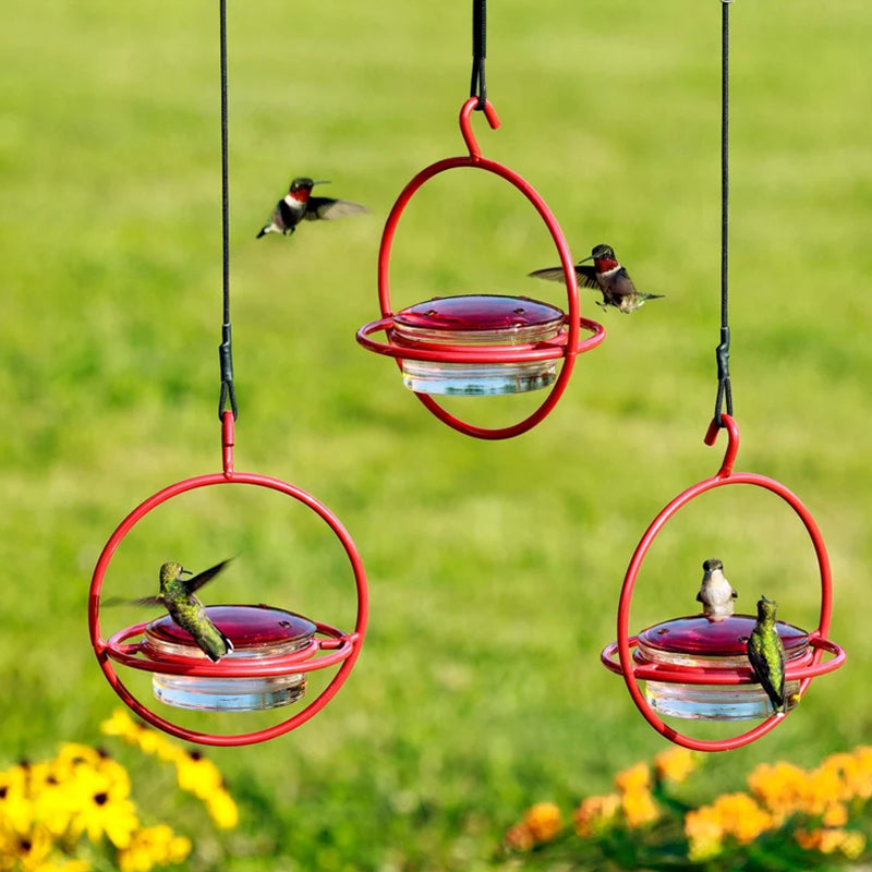 Kalsten | Simple Hummingbird Water Dispenser Made of Metal