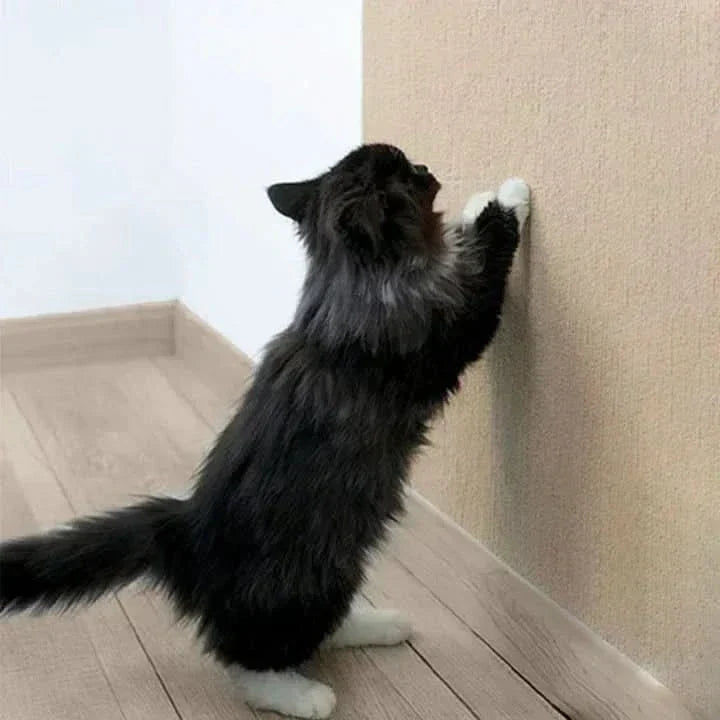 SCRATCHHAVEN – Stylish scratching mat for cats to protect your furniture